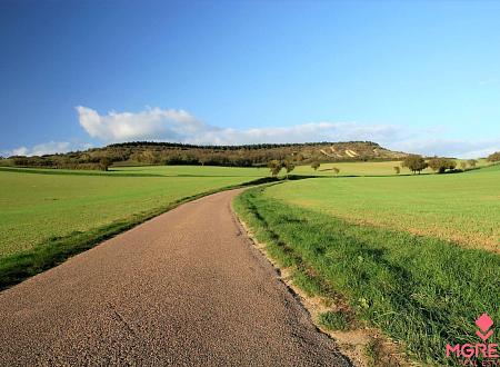 Pozemok - Topoľčany