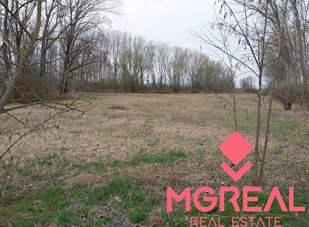 Rovinatý pozemok  17.000 m2 V. Kosihy (Komárno)